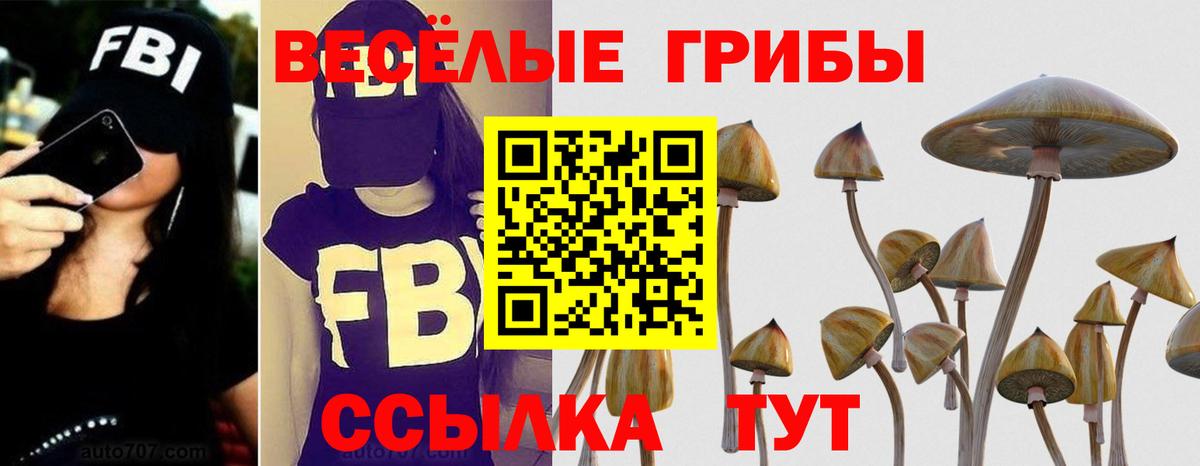 Псилоцибиновые грибы Psilocybine cubensis  Вход с VPN  Мурманск 
